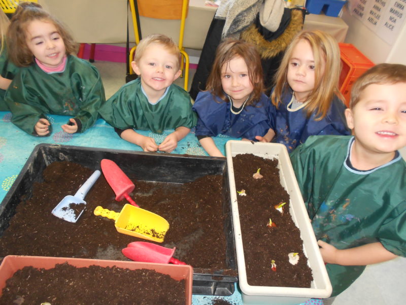 Plantations de bulbes en maternelle