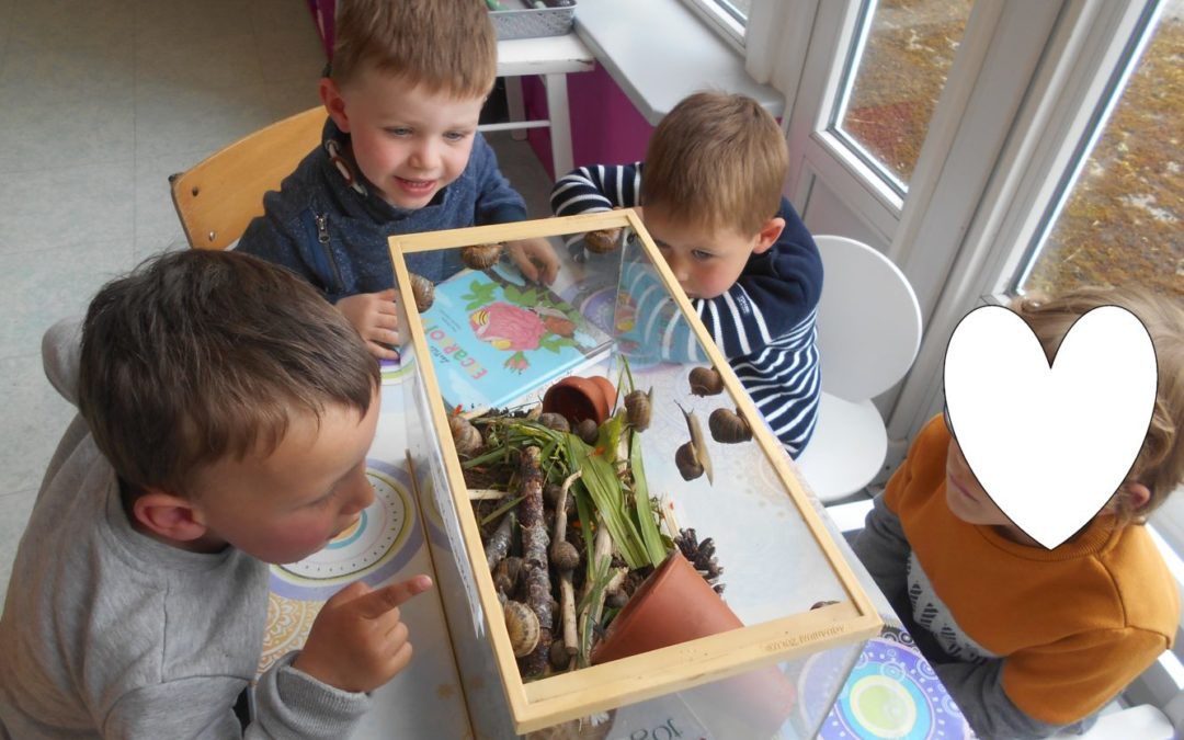 Des escargots en maternelle