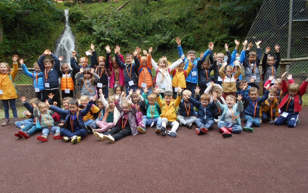 Les maternelles CP au zoo de Trégomeur